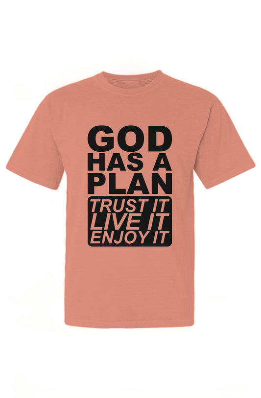 God Has A Plan T-Shirt